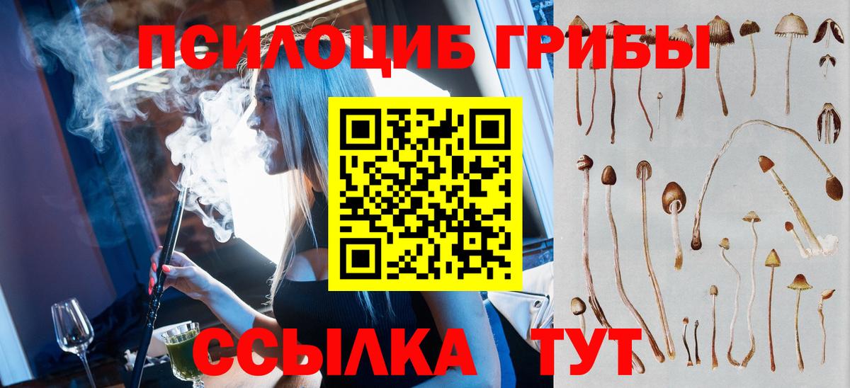 Псилоцибиновые грибы мицелий  купить   Вязники  Вход с VPN 