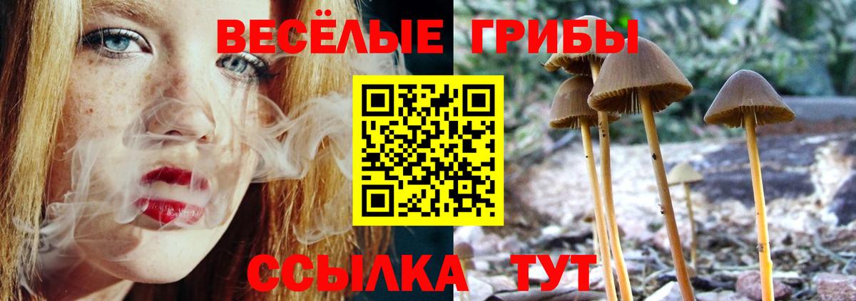 Галлюциногенные грибы GOLDEN TEACHER Вязники
