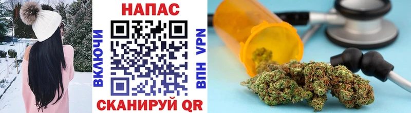 где продают наркотики  Вязники  Канабис сатива 